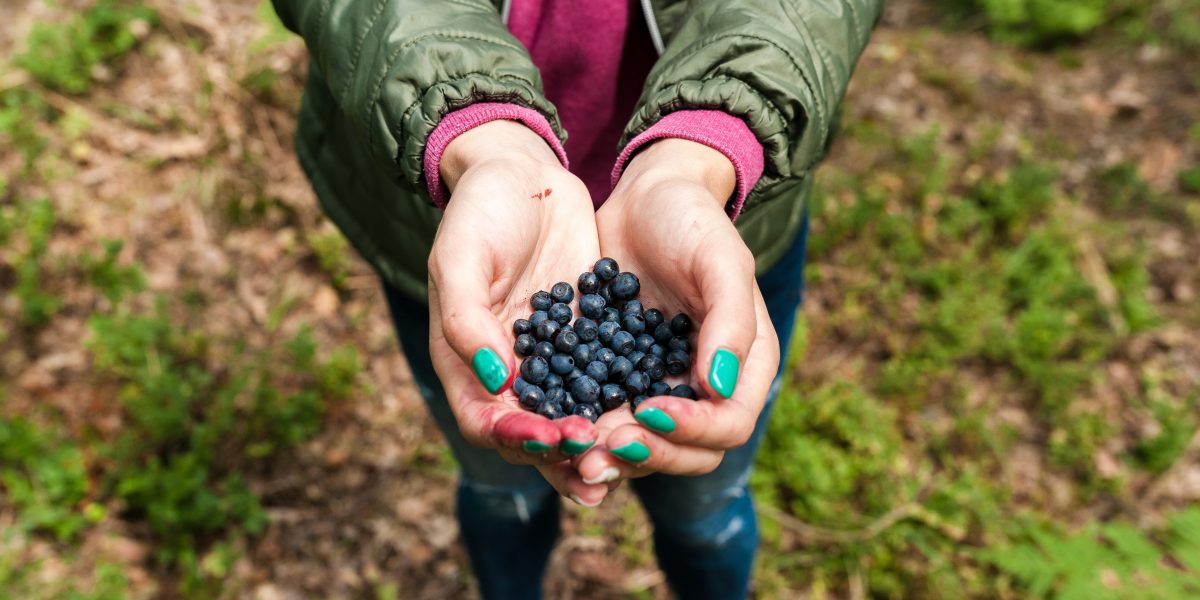 zondagmiddagcollege Verdwalen in het voedselbos
