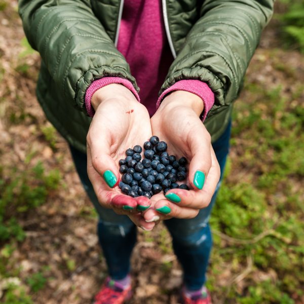 zondagmiddagcollege Verdwalen in het voedselbos