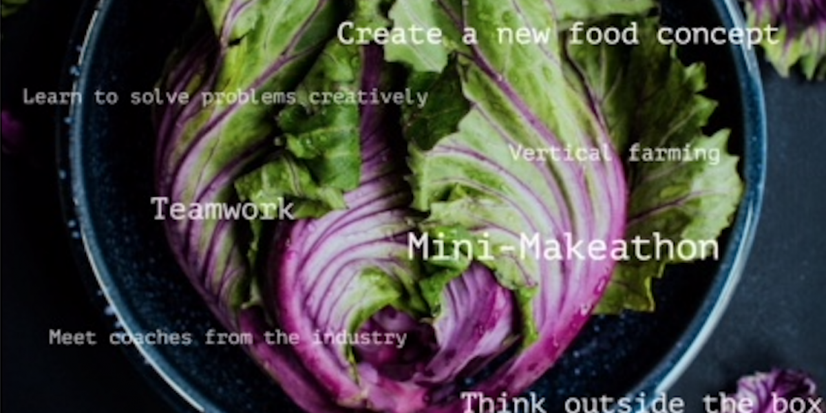 Makeathon vertical farming