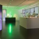 Post-Tribal, picture by Ben Nienhuis (1)