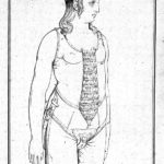 Prent van een kuisheidsgordel uit het boek ‘Considérations sur les hernies abdominales, sur les bandages herniaires rénixigrades et sur de nouveaux moyens de s'opposer à l’onanis